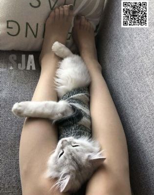日韩风格动漫插图_BD免费在线播放